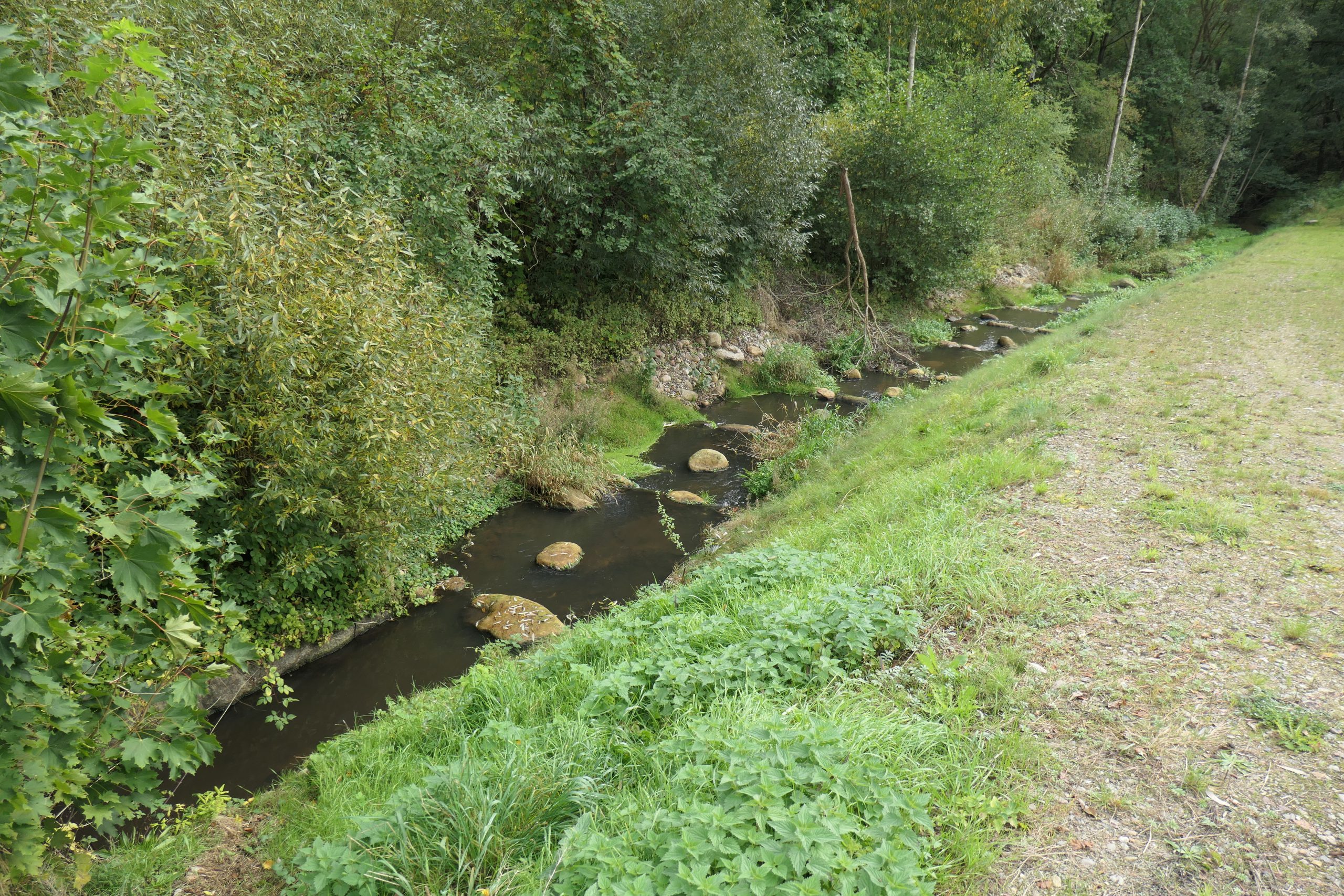 Fischaufstiegsanlage an der Wolfberger Mühle